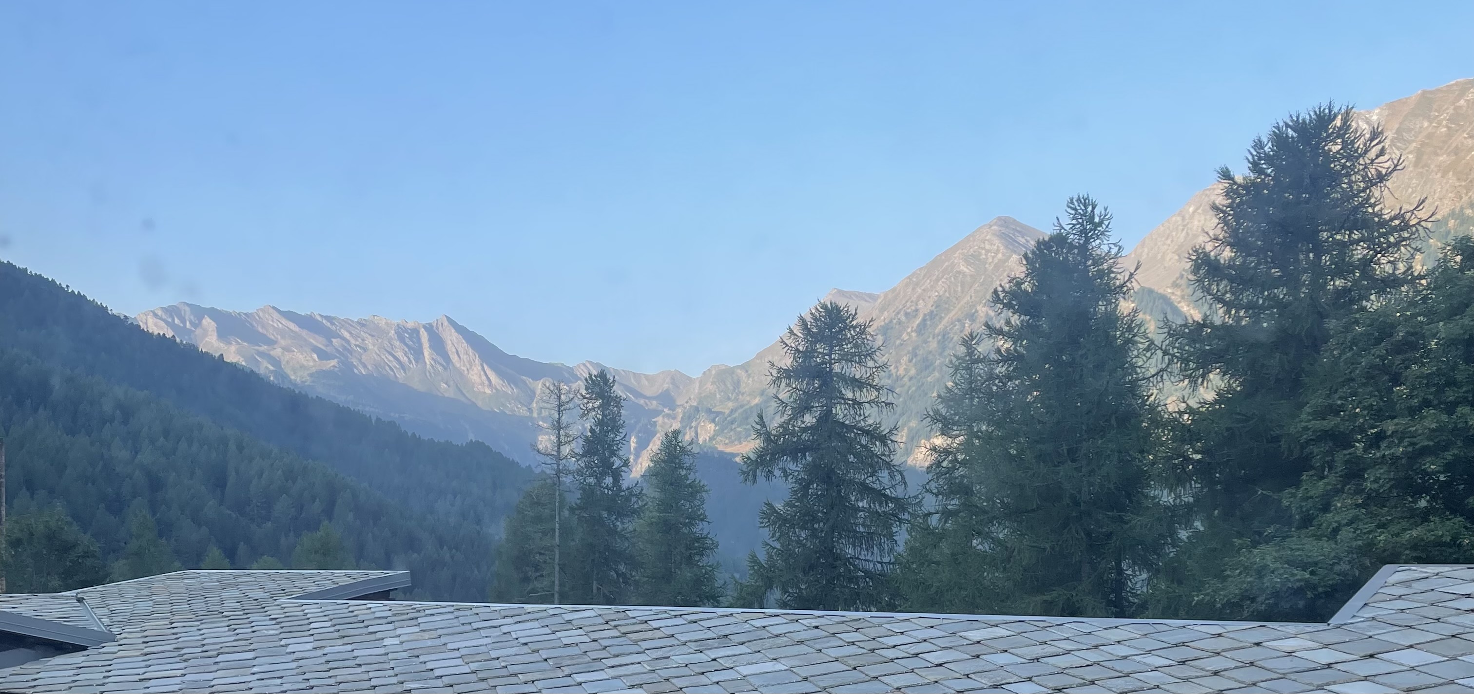 Campo Oikonomico: Tourism: Sharing and Caring?